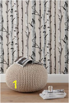 Birch trees wallpaper would like this for the chimney breast Tree Wallpaper Living Room