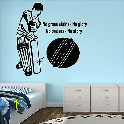 Joes room CRICKETER WALL STICKER TRANSFER ART SPORT CRICKET BALL BOYS BEDROOM