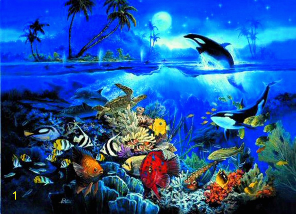 Underwater Ocean Backgrounds Places Travel 1024x740