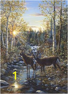 Whitetail Deer Murals 9 Best Shirley S Murals Images