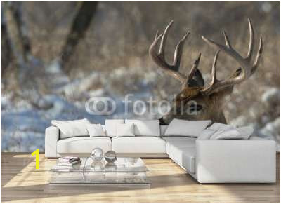 Big Deer Wall mural