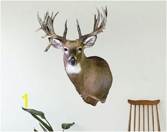 Whitetail Deer Wall Murals Deer Wall Decor