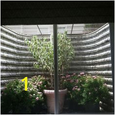 basement window well plants Egress Window Cover Basement Window Well Basement Window Treatments