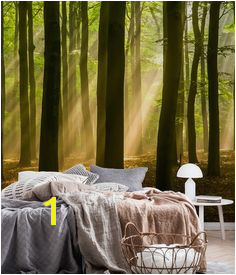 Forest landscape Wall mural