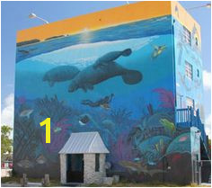 Wyland came and painted our building in Key Largo fabulous Graffiti Murals