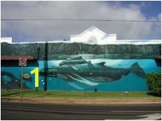 Wyland Whale Wall Wyland Art Kauai Whales