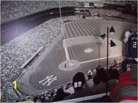 Yankee Stadium Wall Mural Part 4