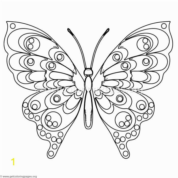 Adult Coloring Page butterfly Free to butterfly 7 Coloring Pages Coloring