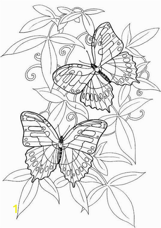 Adult Coloring Page butterfly Hard butterflies Coloring Pages for Adults to Print