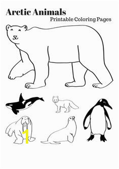 0e840c38ad9bf02c0d49ac7b378b8924 polar animals talvi