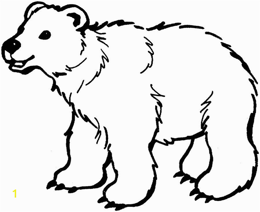 Arctic Animals for Kids Coloring Pages Polar Bear Coloring Pages Printable Polar Bear Coloring
