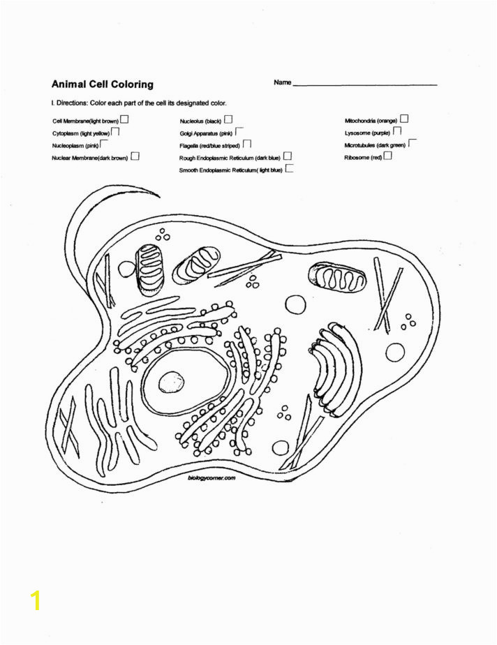 Ask A Biologist Coloring Page 56 Most Exceptional Biology Corner Plant Cell Color Pages