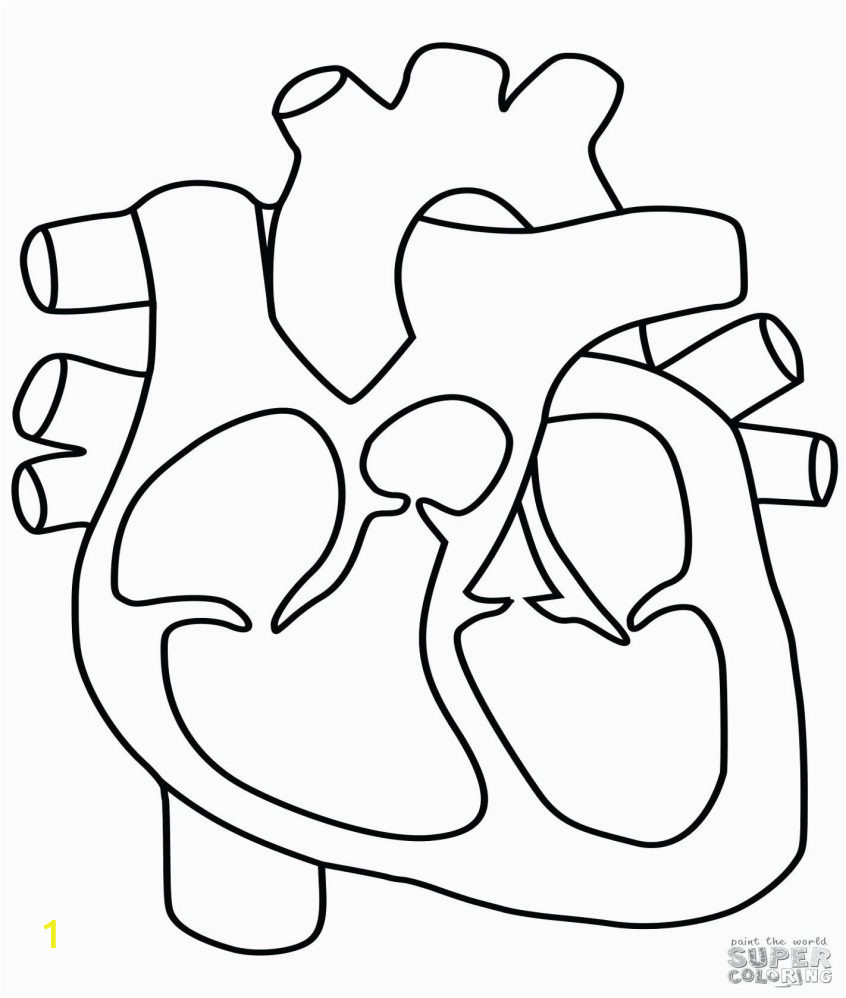 Ask A Biologist Coloring Page Color Pages Heart Coloring Page Inspirations