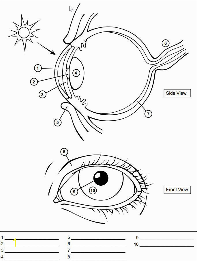 Ask A Biologist Coloring Page these Two Obviously Don T See Eye to Eye