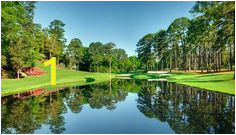 Augusta National Wall Mural 64 Best Augusta Nation Golfcorse Images