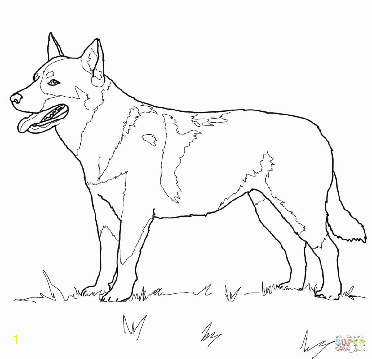 quick dog colouring sheets cattle c