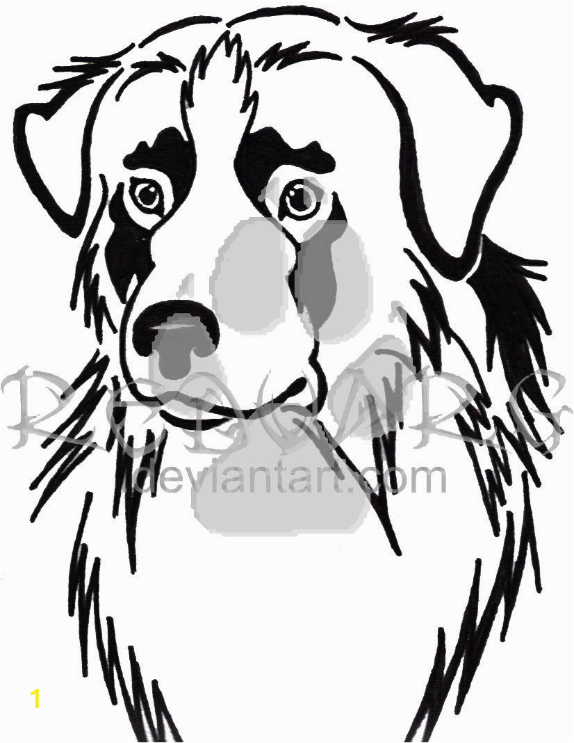 Australian Shepherd Coloring Page Bildergebnis Für Australian Shepherd Tattoo