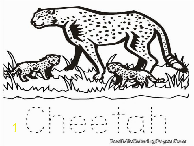 cute baby cheetah coloring pages real color ltkrpyqxc staggering animal image 672x504