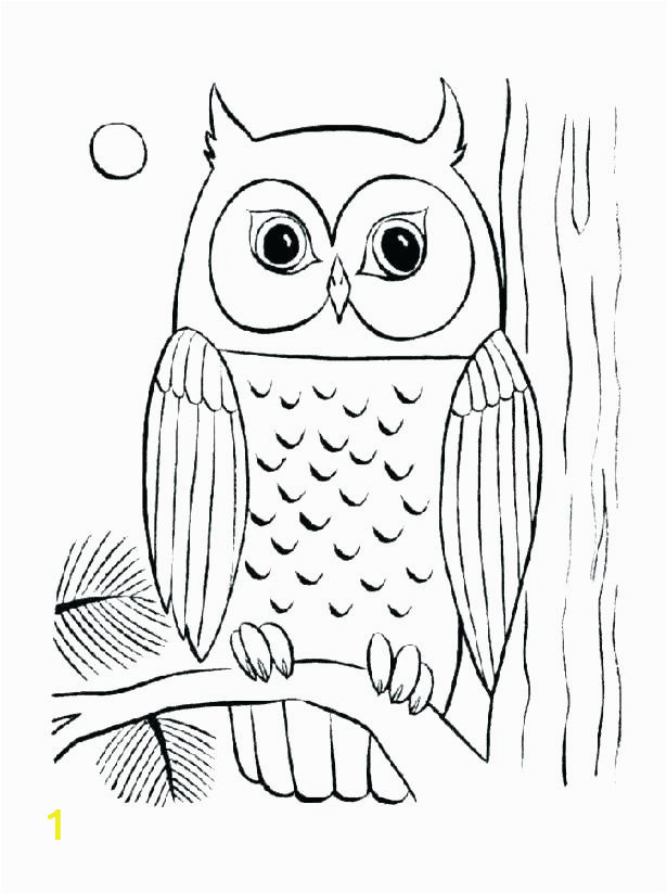 a5eda7dcb2df8ec1aa eef6ad colored pictures of owls cute owl coloring pages to print baby owl 615 824