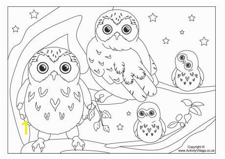 5aca7395b1edbf0c0c4ee9b8bc0b5b9c colouring pages owls popular trend coloring pages mvngcstl 460 325