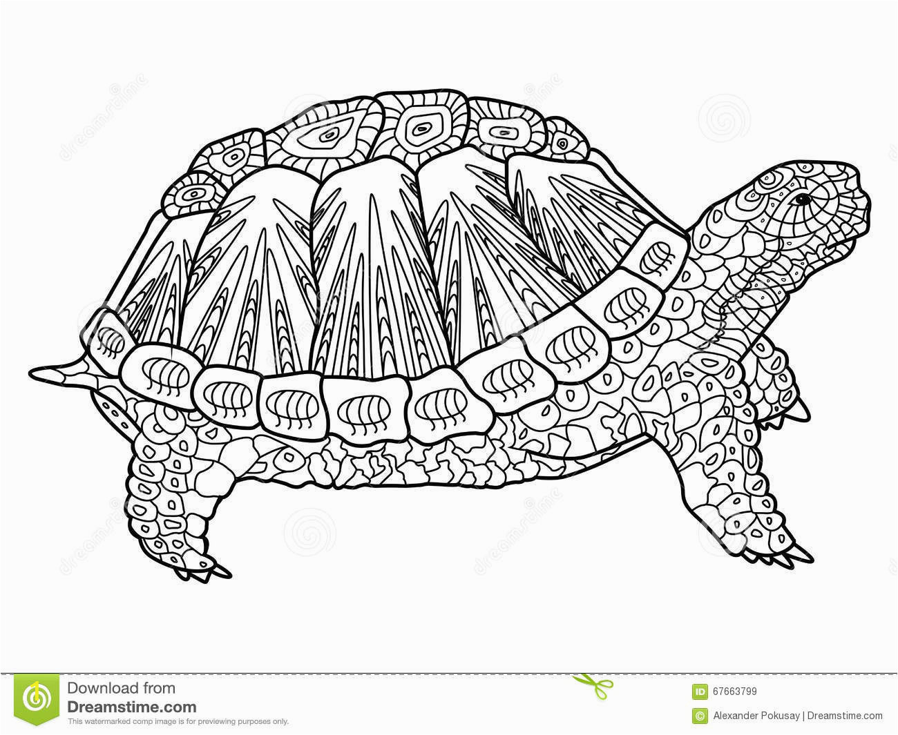 turtle coloring book adults vector illustration anti stress adult zentangle style black white lines lace