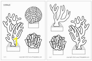 Barrier Reef Coloring Pages Corals Template