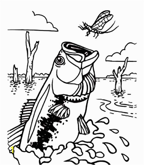 Bass Fish Coloring Pages Bass Fish Catching Dragonfly Coloring Pages Best Place to