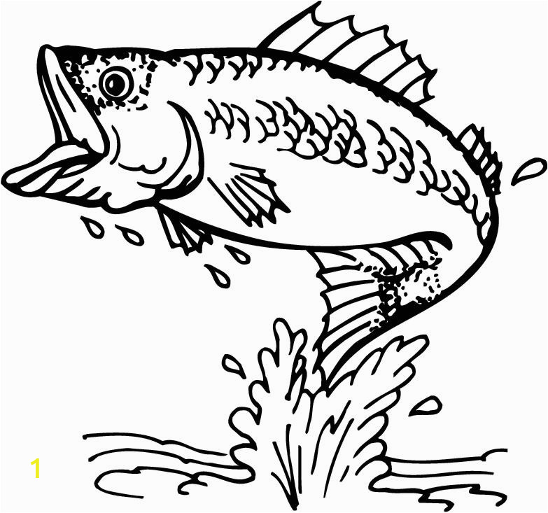 Bass Fish Coloring Pages | divyajanan