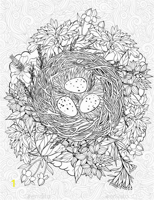 Bird Egg Coloring Page Coloring Page with A Nest and Birds Eggs