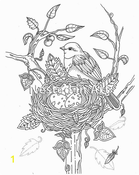 Bird Nest Coloring Page Adult Coloring Page Bird with Bird S Nest original Art