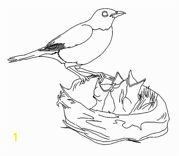 4bef6db c3e0ef92da6e00fdff5 baby bird coloring page 9 9241 600 521