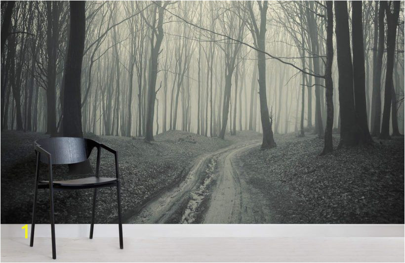 Black and White forest Wall Mural Black and White forest Path Mural