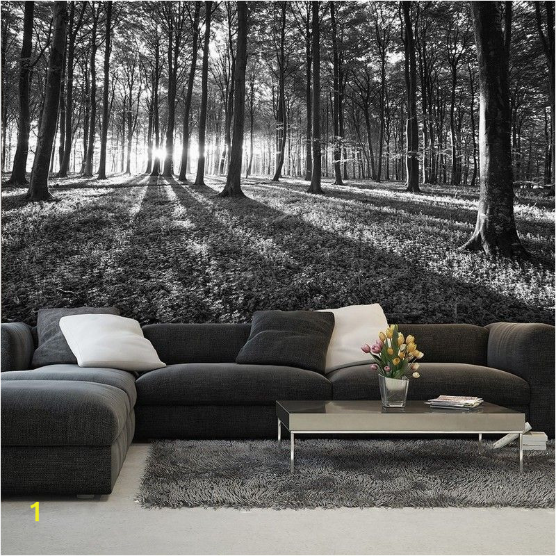Black and White Tree Wall Mural Bws Black & White forest
