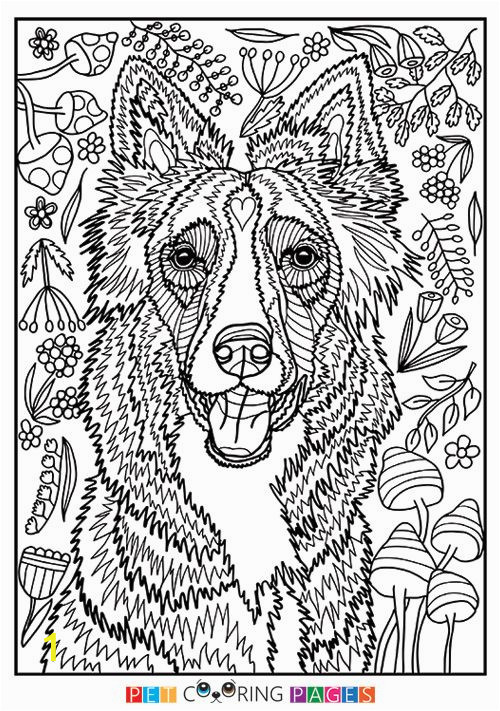 Border Collie Coloring Page Of Free Coloring Pages Detailed Dogs Shopartstudio