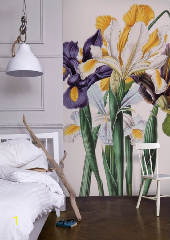 Botanical Wall Murals Uk Iris Xiphium Mural New York Botanical Garden From £60 Per