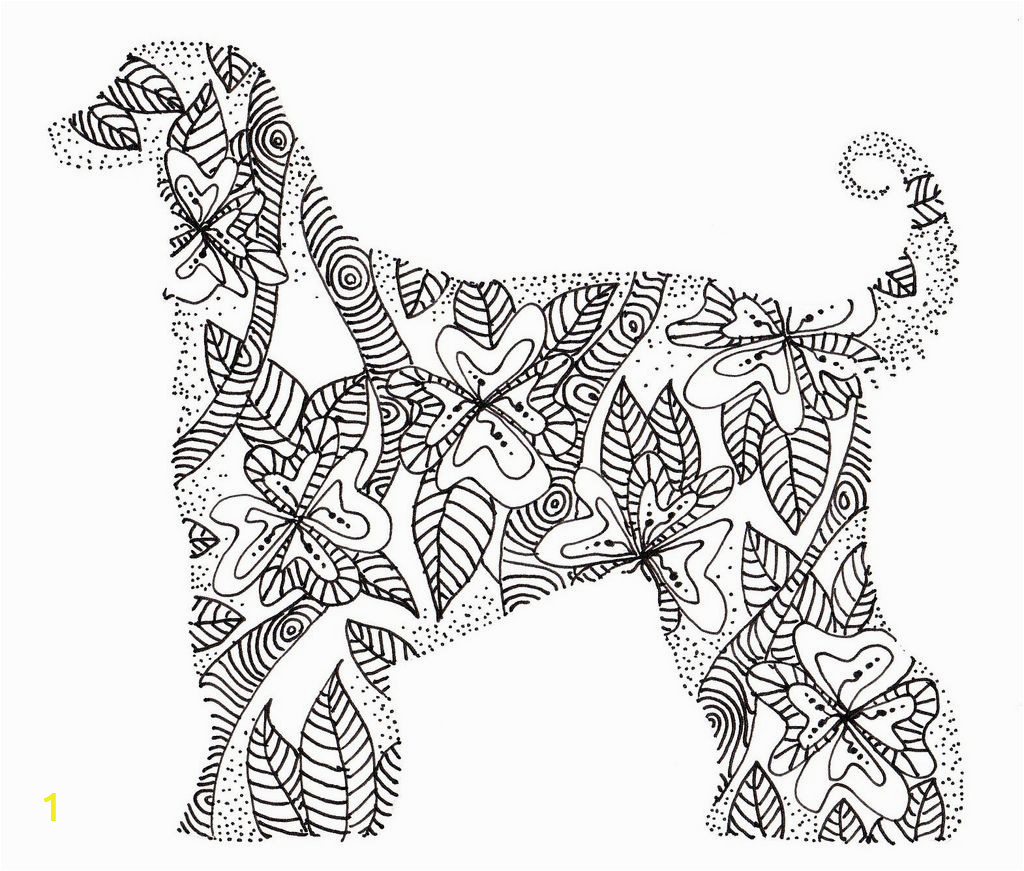 Boxer Dog Coloring Pages Afghan Hound