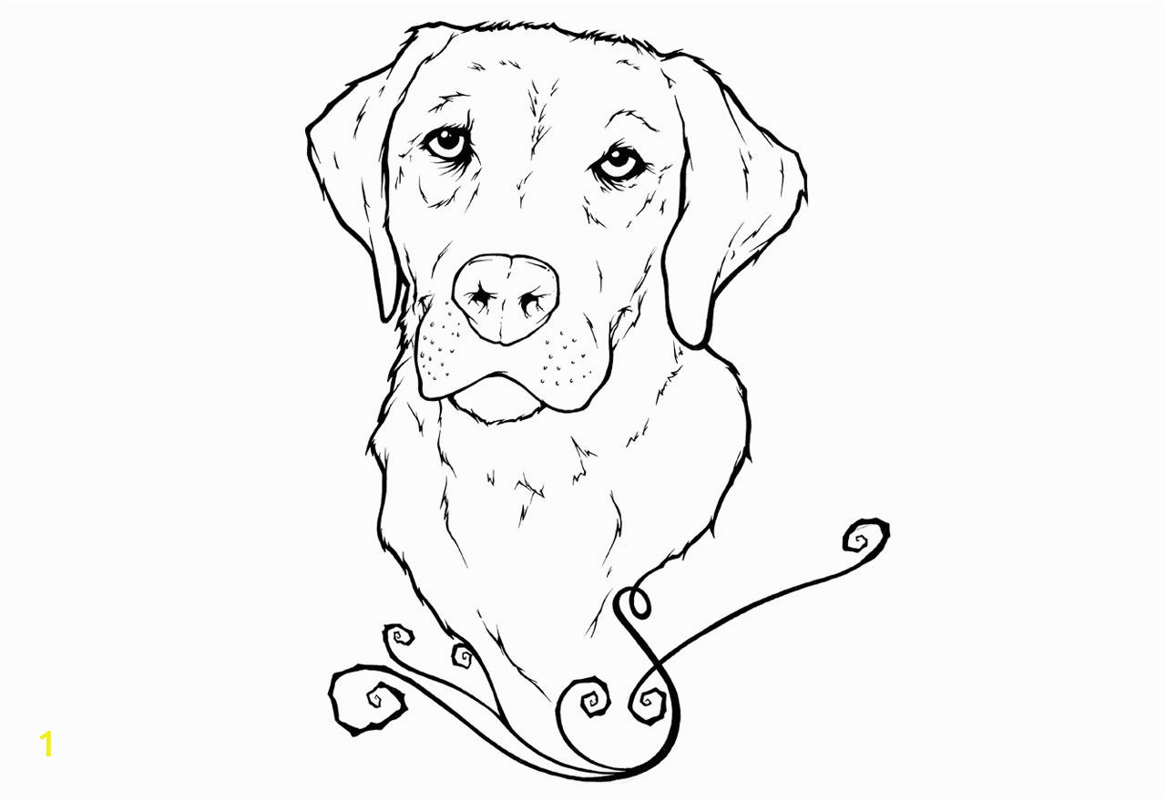 Boxer Dog Coloring Pages Yellow Lab Puppy Coloring Pages