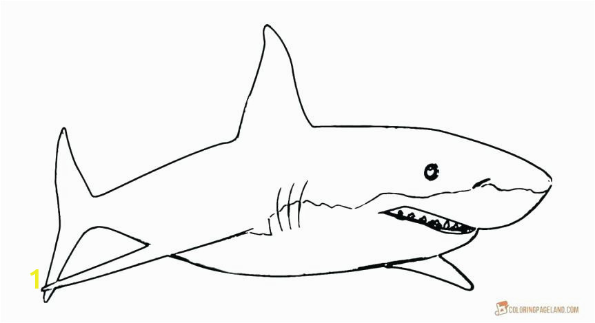 d8d bedf299a70ef d2 printable great white shark coloring pages happysalesinfo 863 469