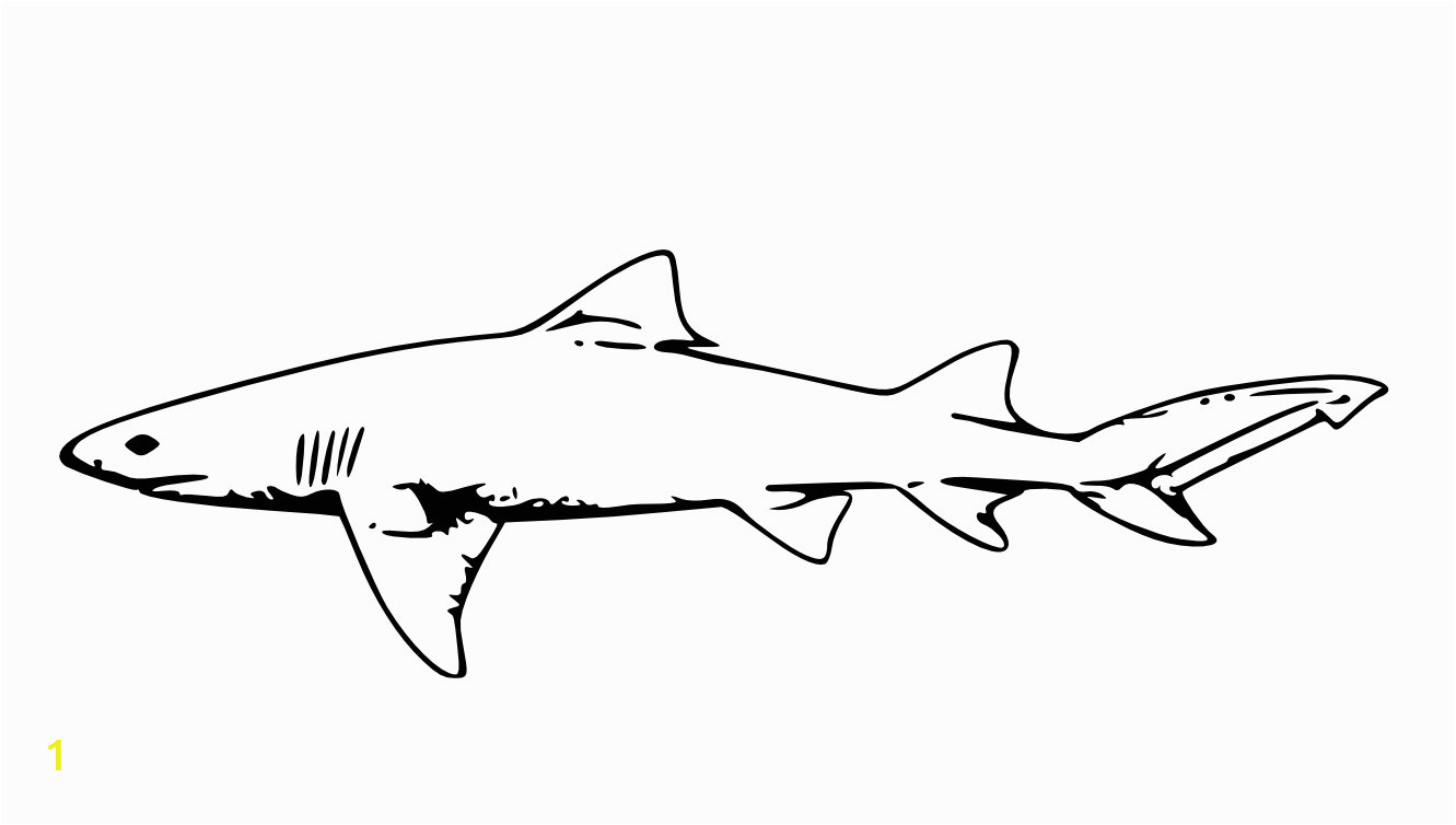 460f8be0cb22ee175c631b29eef61b46 free printable shark coloring pages for kids 1331 754