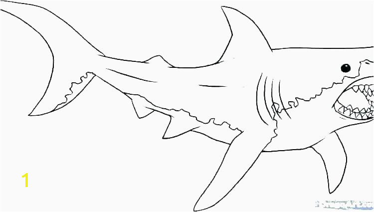 new coloring pages shark to print of coloring pages shark to print