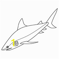 bull shark like zebra coloring pages