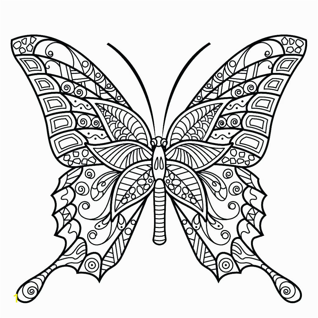 free butterfly coloringages for adults torintrintable caterpillaratterns