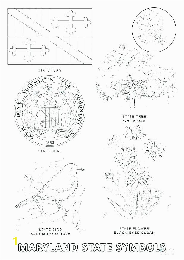 california state flag coloring page flags pages