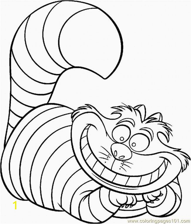 unique coloring pages cat for kids of coloring pages cat for kids 2
