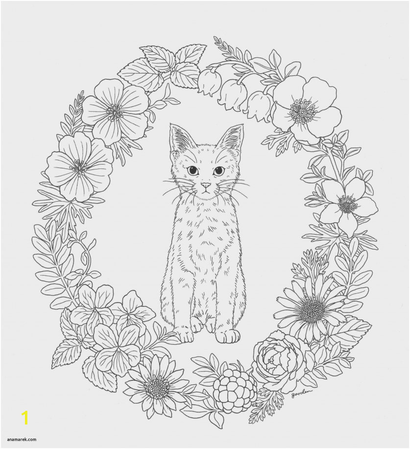 Cat Coloring Pages for Kids to Print Coloring Sheets Kids Display Coloring Sheets Kids Popular