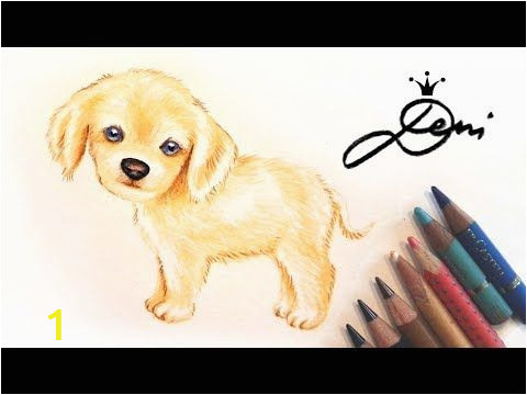 Cavalier King Charles Spaniel Coloring Page Hund Zeichnen Cavalier King Charles Spaniel Welpe Malen Dog