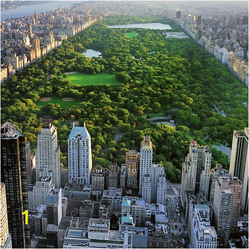 Central Park Wall Mural Mercury Row Bird Eye View Central Park Wall Mural