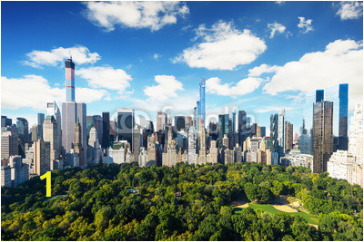 Central Park Wall Mural New York City Central Park View to Manhattan at Sunny Day Wall Mural