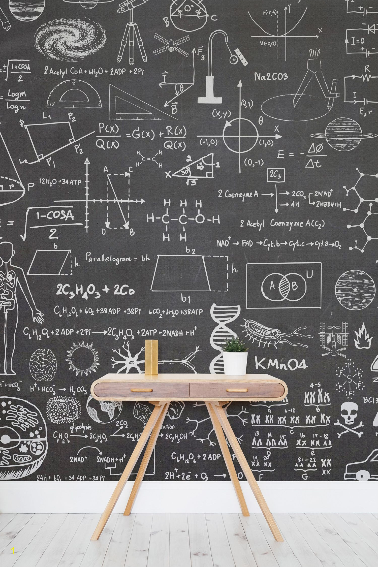 Chalk Quotes Wall Mural Scientific Chalkboard Effect Wall Mural