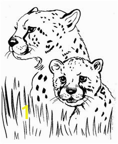 474b7779e3b8982e74d8b be8e coloring pages to print animal coloring pages